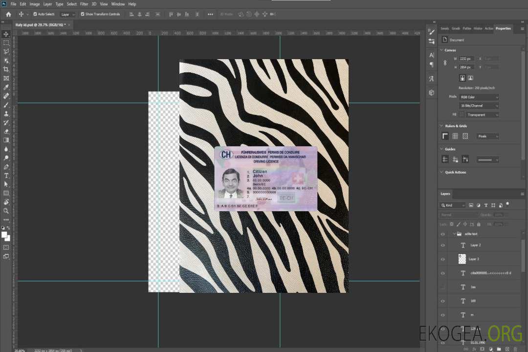 Permis de conduire suisse 2023-présent photolook recto template